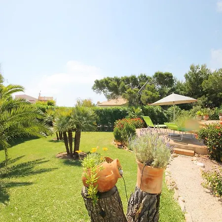 Calypso Javea